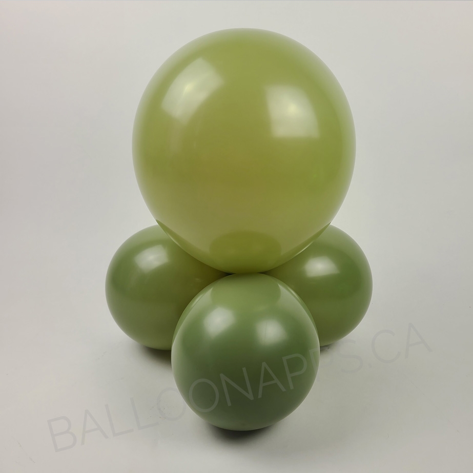 NEW ECONO (100) 11" Eucalyptus balloons