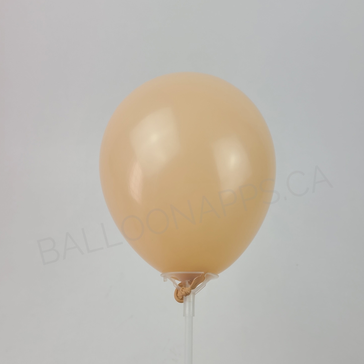 NOVA (100) 5" Peach Blush balloons